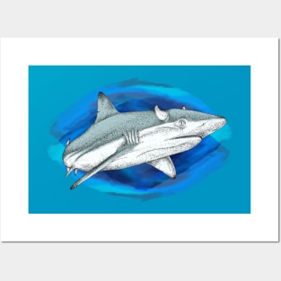 Bull shark Posters and Art